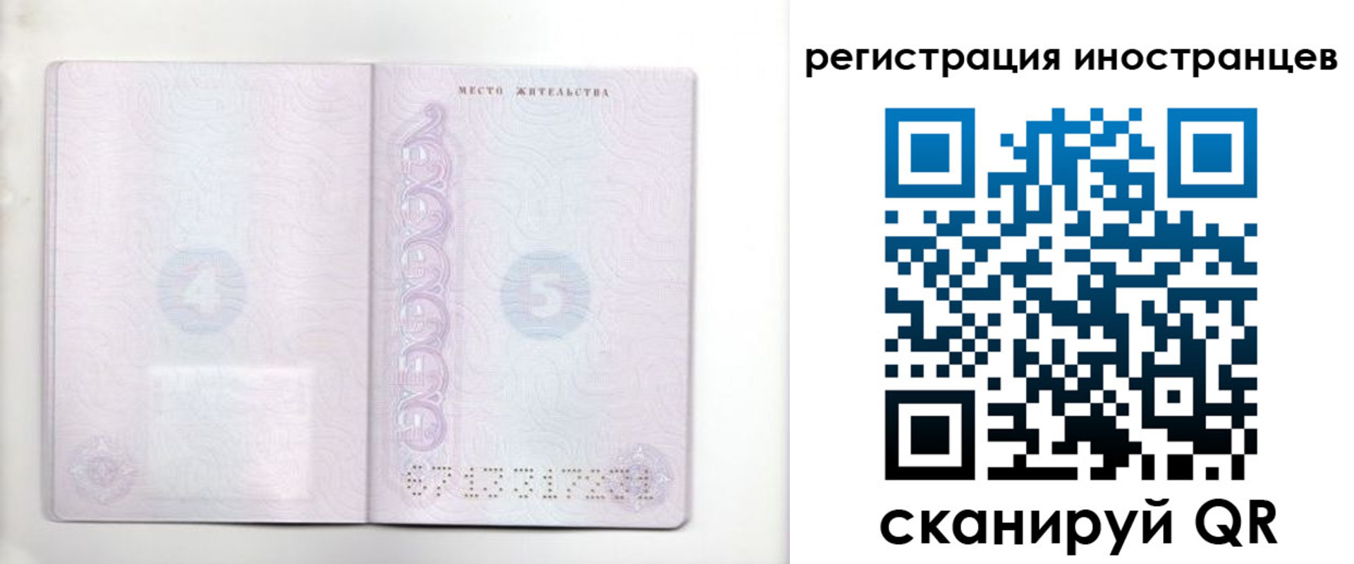 временная регистрация в Михайловке